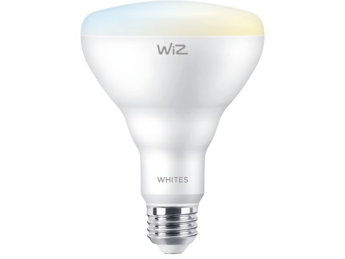 main.alt.text.RTP.Réflecteur de 7,2 W (éq.65 W) BR30 E26
