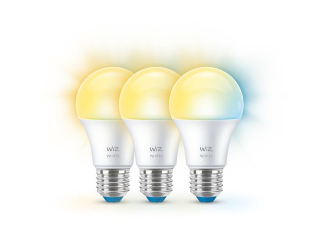 main.alt.text.RTP.Bulb 60 W A60 E27 x3