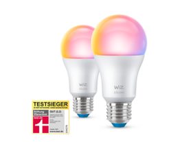 Lampe 60W A60 E27 x2