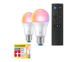 Lampe 60 W A60 E27 x2 mit Fernbedienung
