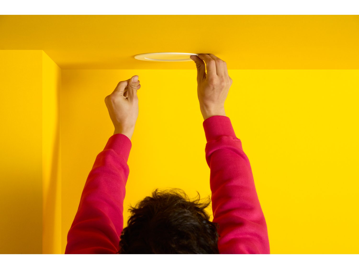 Wiz downlight new arrivals
