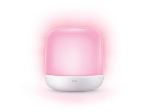 Portable Light Hero Table Lamp