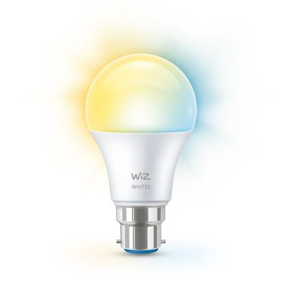Close up of front of Bulb 60W A60 B22