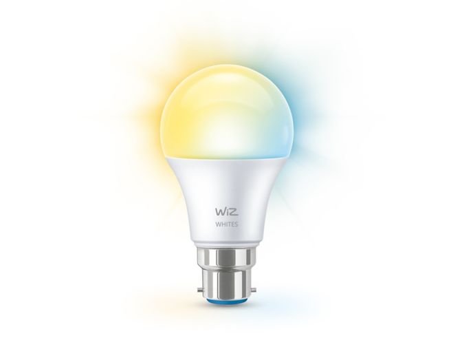 Close up of front of Bulb 60W A60 B22