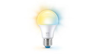 Smart LED Bulb 60W A60 E27
