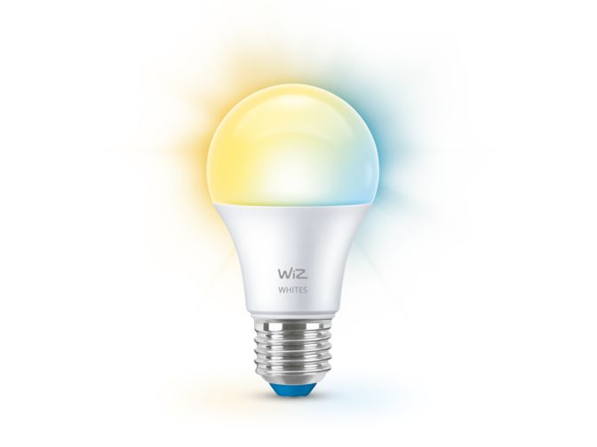 Nahaufnahme der Vorderseite von Lampe 60 W; A60, E27