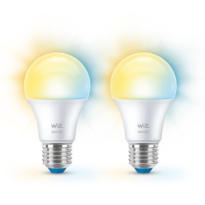 Close up of front of Bulb 60W A60 E27 x2