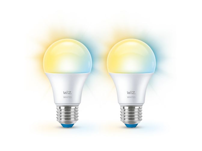Nahaufnahme der Vorderseite von Lampe 60 W; A60, E27, x2