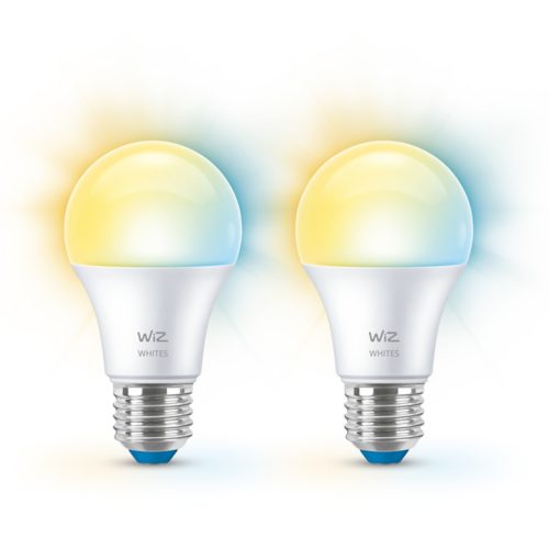 AMPOULE MODERNE 2&nbsp;ampoules 60&nbsp;W A60 E27