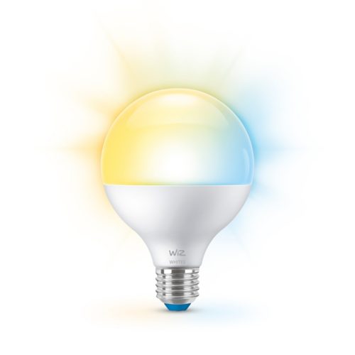 MODERN BULB Globe 75W G95 E27