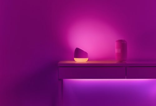 Portable Light Squire Table Lamp