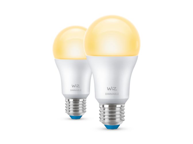 main.alt.text.RTP.Lamp 60W A60 E27 x2
