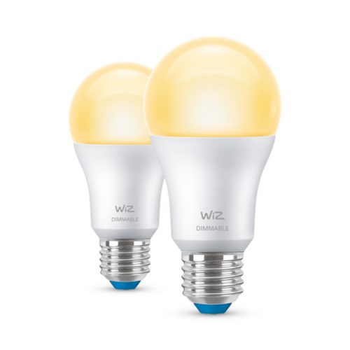 Lampe LED 2ampoules A60 E27