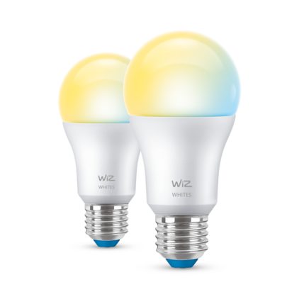 Gros plan de l'avant de 2 ampoules 60W A60 E27