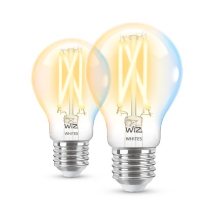 Nahaufnahme der Vorderseite von Filament-Lampe, transparent, 60 W A60 E27 x2