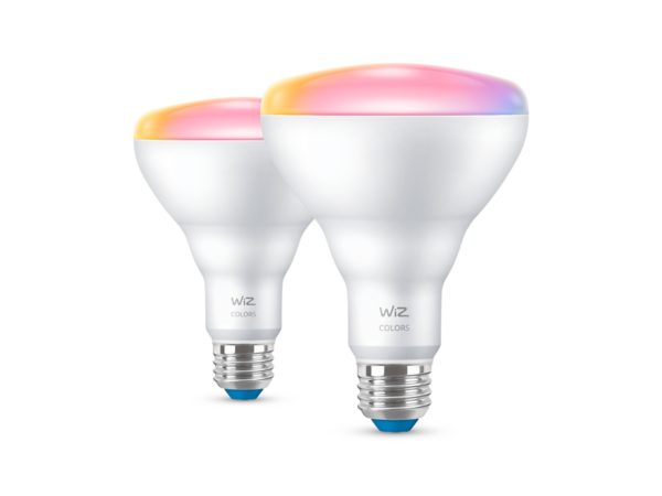 Reflector 65W BR30 E26 x2