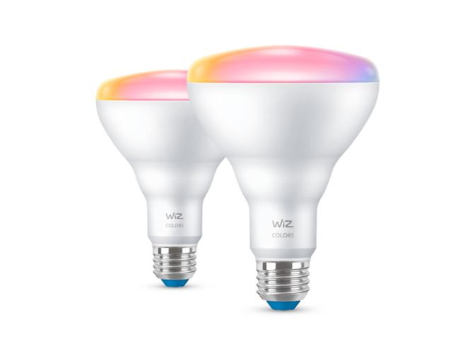 main.alt.text.RTP.Reflector 65W BR30 E26 x2