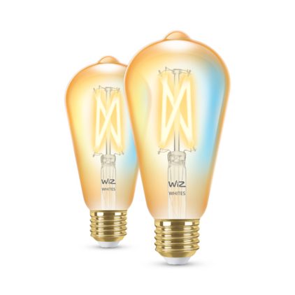 Nahaufnahme der Vorderseite von Filament-Lampe Bernstein 50 W ST64 E27 x2