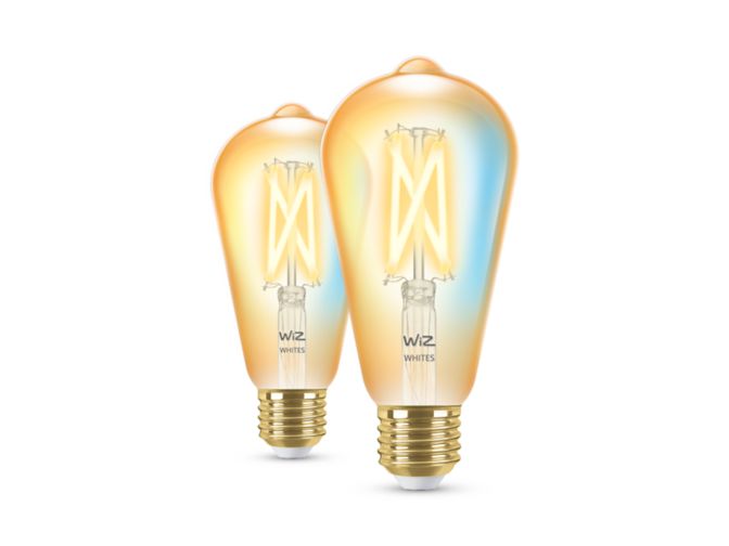 Nahaufnahme der Vorderseite von Filament-Lampe Bernstein 50 W ST64 E27 x2