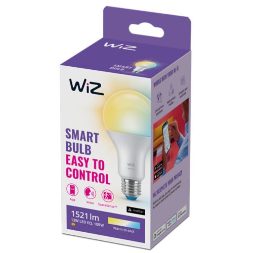 MODERN BULB Bulb 100W A67 E27