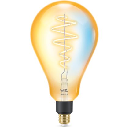 Nahaufnahme der Vorderseite von Filament-Lampe, Bernstein 25W PS160 E27