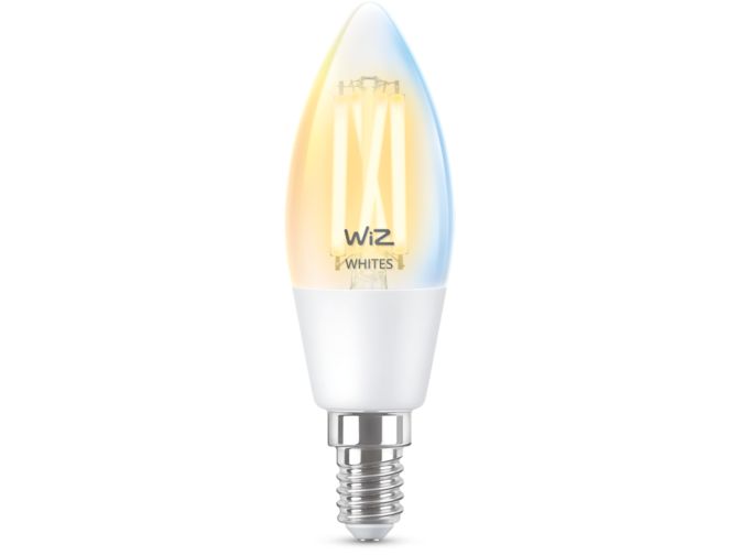 Gros plan de l'avant de Ampoule à filament transparente 40W C35 E14