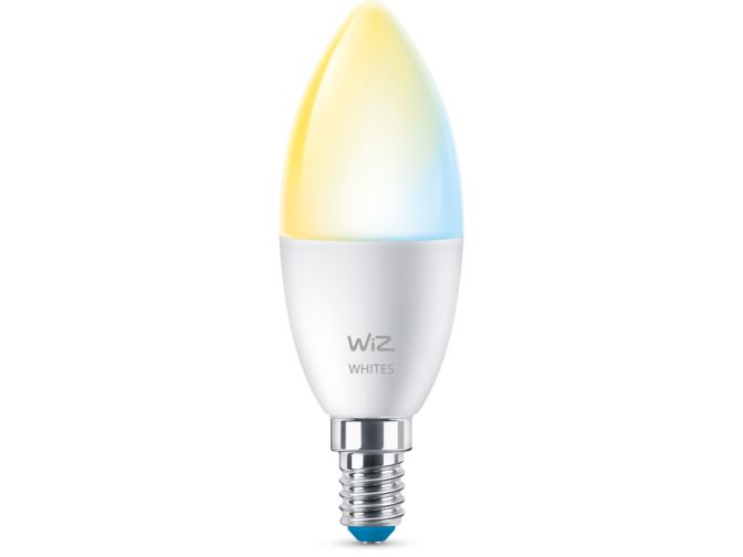 Gros plan de l'avant de Ampoule flamme 40W C37 E14