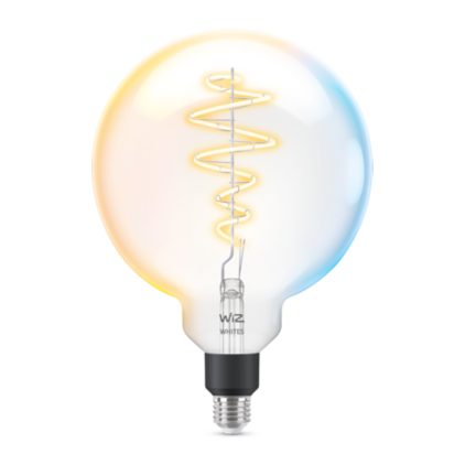 Nahaufnahme der Vorderseite von Filament-Lampe in Kugelform, transparent, 40 W G200 E27