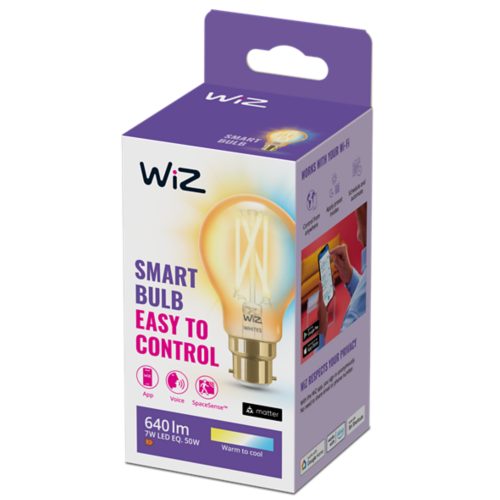 FILAMENT BULB Filament Bulb Amber 50W A60 B22