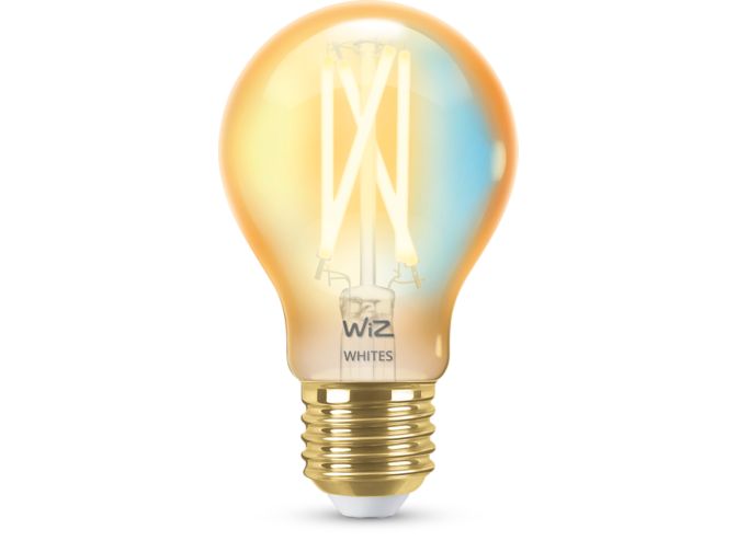 Gros plan de l'avant de Ampoule ambre à filament 50 W A60 E27