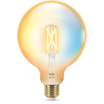 Close up of front of Filament Bulb Amber 50 W G125 E27
