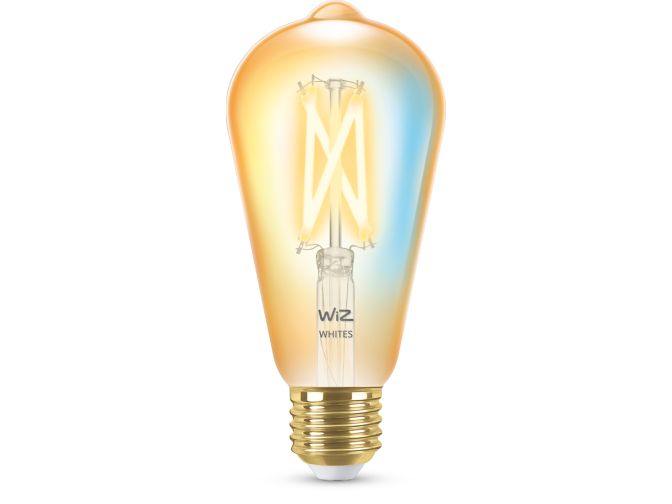 Gros plan de l'avant de Ampoule ambre à filament 50 W ST64 E27