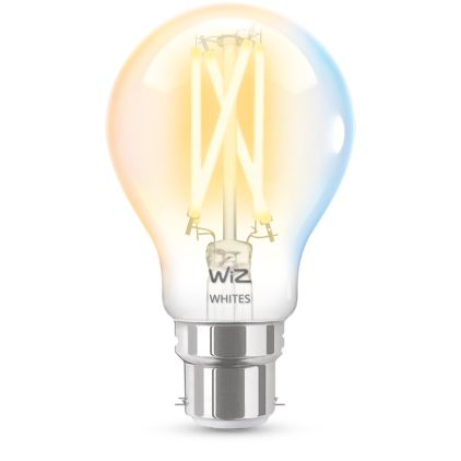 main.alt.text.RTP.Ampoule à filament transparente 60W A60 B22