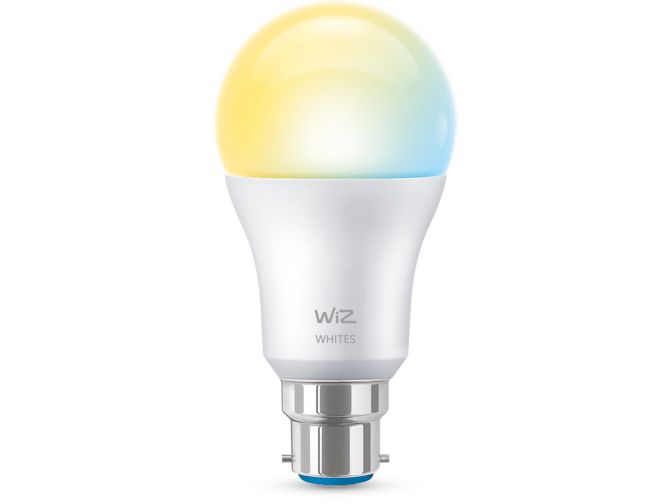 main.alt.text.RTP.Ampoule 60W A60 B22