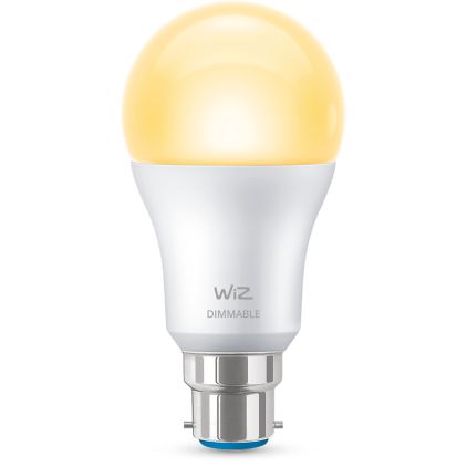 Gros plan de l'avant de Ampoule 60W A60 B22