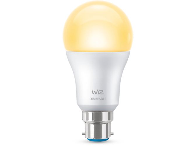 main.alt.text.RTP.Ampoule 60W A60 B22