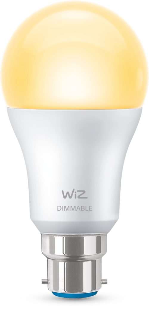 MODERN BULB Bulb 60W A60 B22