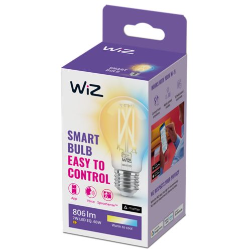 LED Lamp Filament clear A60 E27