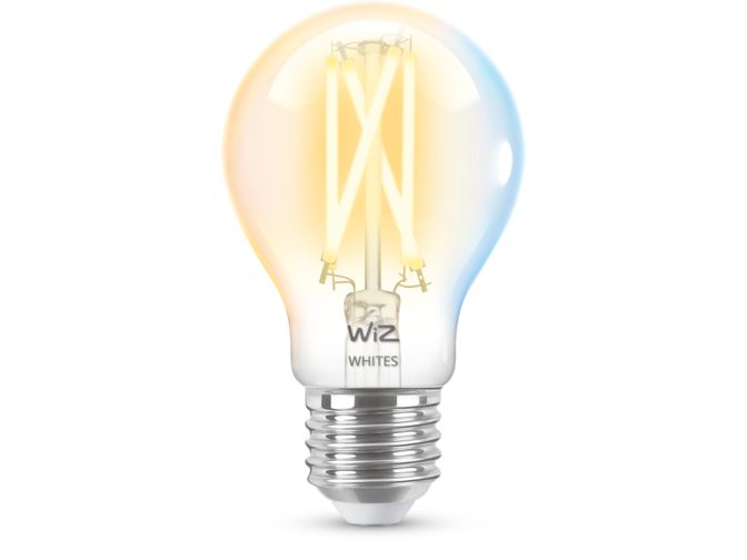 Gros plan de l'avant de Ampoule transparente à filament 60 W A60 E27