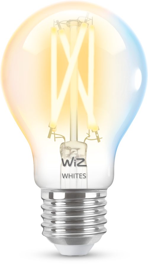 LED Lamp Filament clear A60 E27