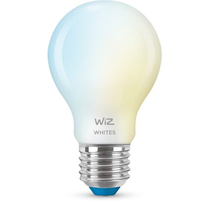 Gros plan de l'avant de Ampoule verre dépoli 60W A60 E27