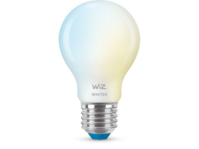 main.alt.text.RTP.Mattierte Lampe 60 W A60 E27