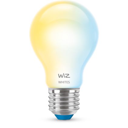 Close up of front of Frosted Glass Bulb 60 W A60 E27