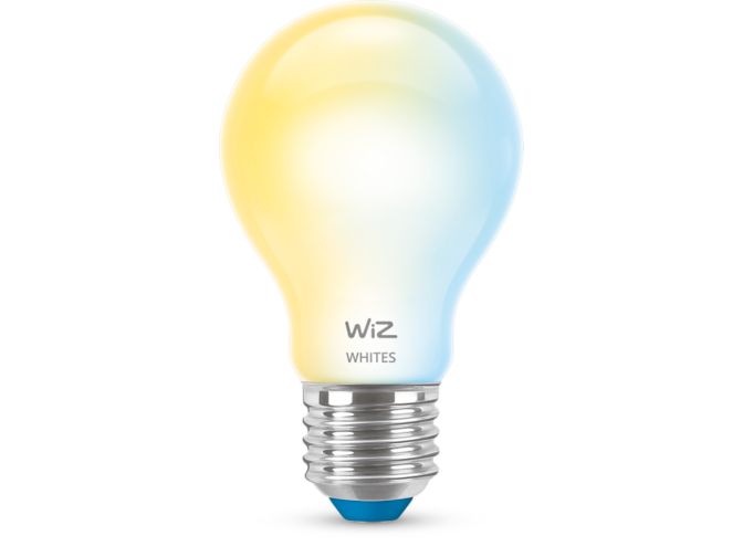 Close up of front of Frosted Glass Bulb 60 W A60 E27