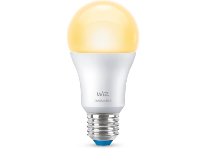 main.alt.text.RTP.Bulb 60W A60 E27