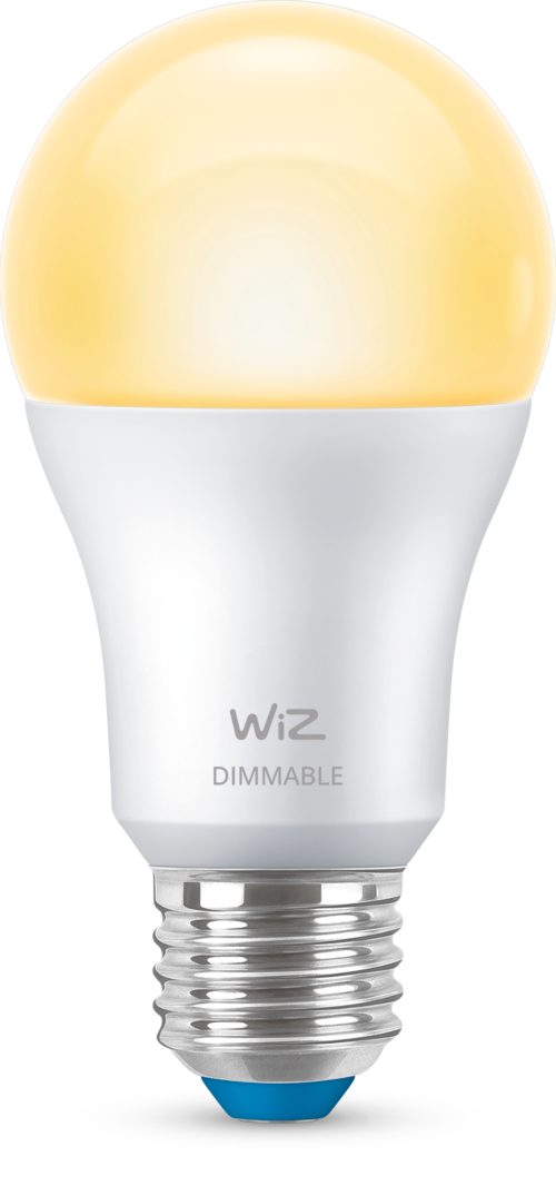 MODERN BULB Bulb 60W A60 E27