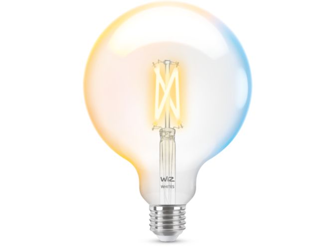 Gros plan de l'avant de Ampoule à filament transparente 60W G125 E27