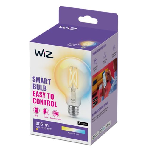 Lámpara LED Filamento transparente G95 E27