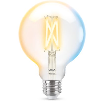 Primer plano del frente de Bombilla con filamento transparente 60 W G95 E27