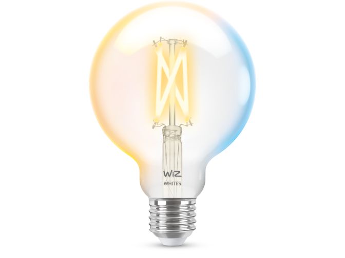 Gros plan de l'avant de Ampoule à filament transparente 60W G95 E27
